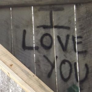 Meet your Posher, Bella